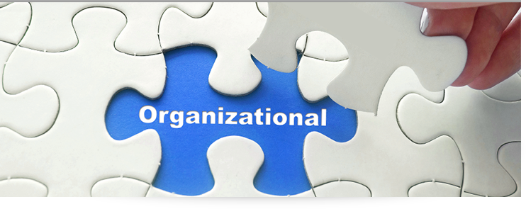Organizational Design